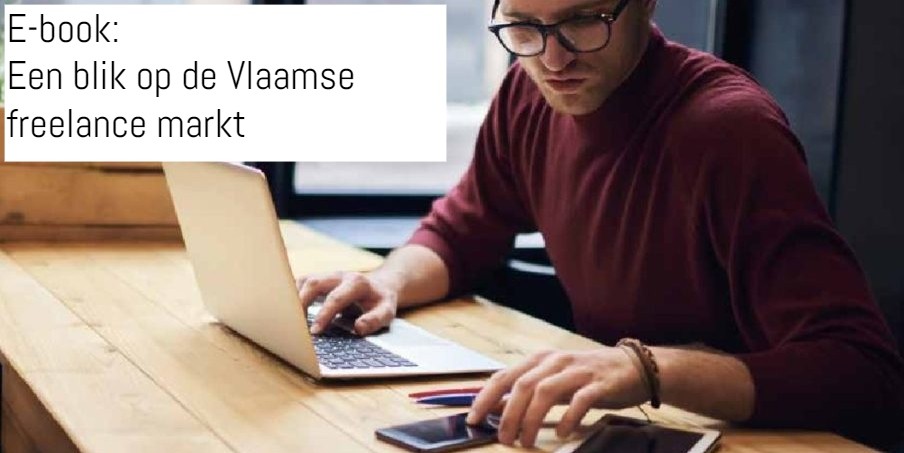 E-book Vlaamse freelance markt